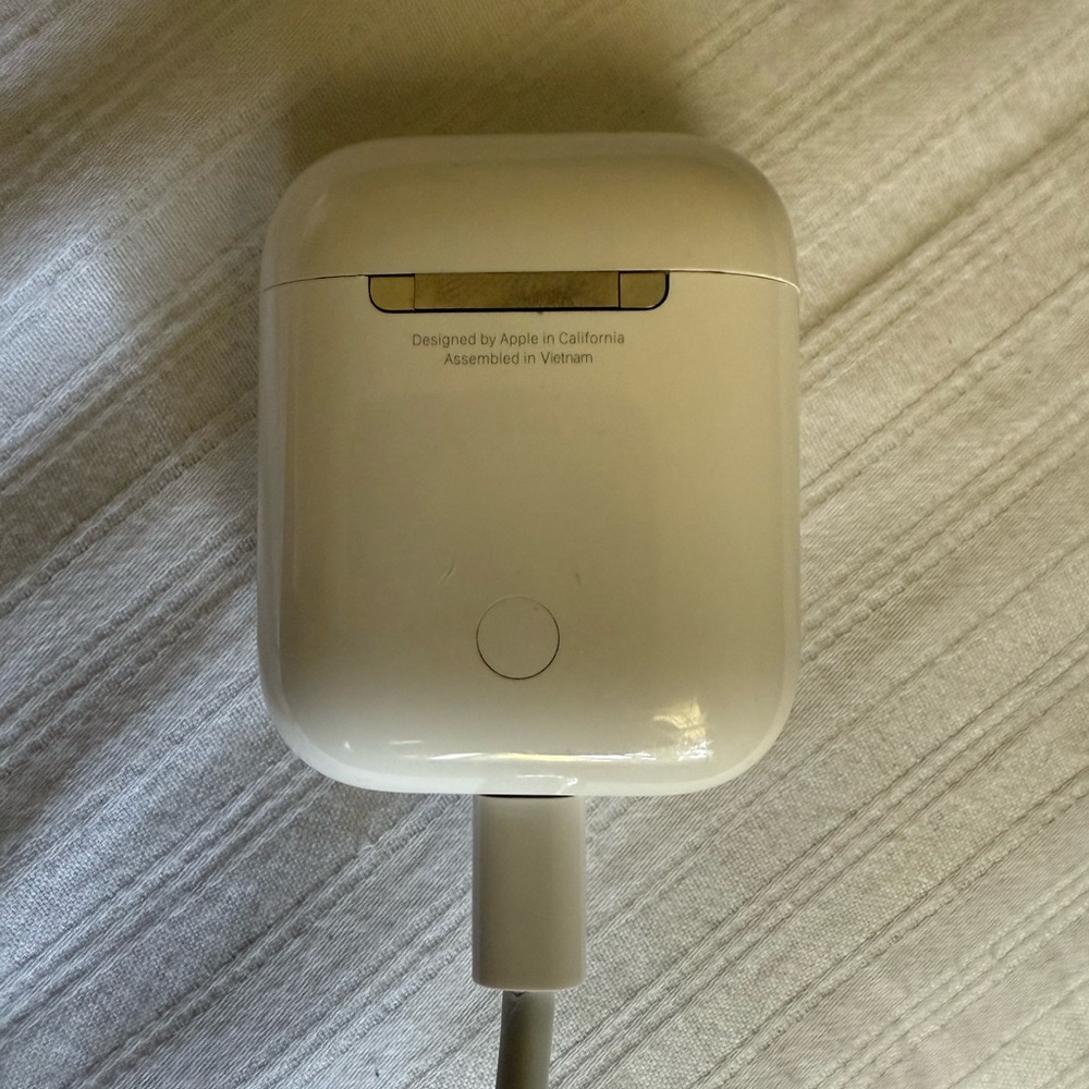 Apple Wireless Earbuds Case in White